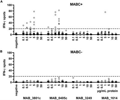 Species-Specific Interferon-Gamma Release Assay for the Diagnosis of Mycobacterium abscessus Complex Infection